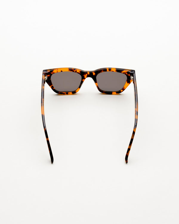 Memphis Havana - grey solid lens
