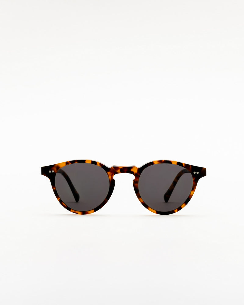 Forest Havana - grey solid lens