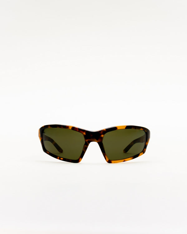 Raven matt Havana - green solid polarized lens