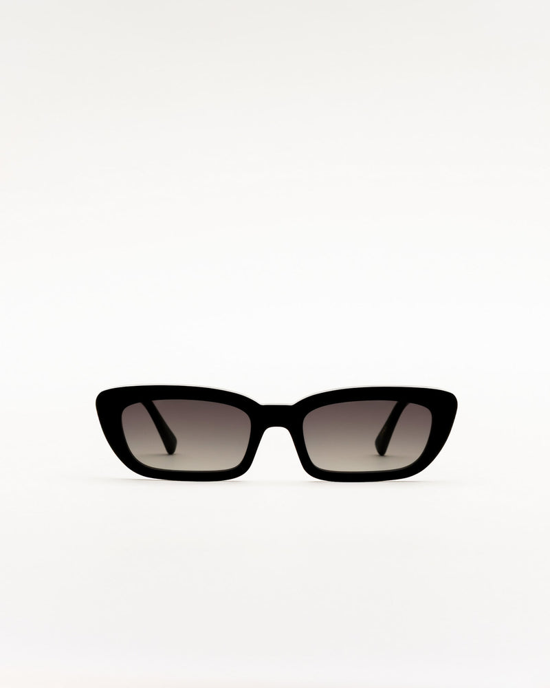 Nova Black - grey gradient lens