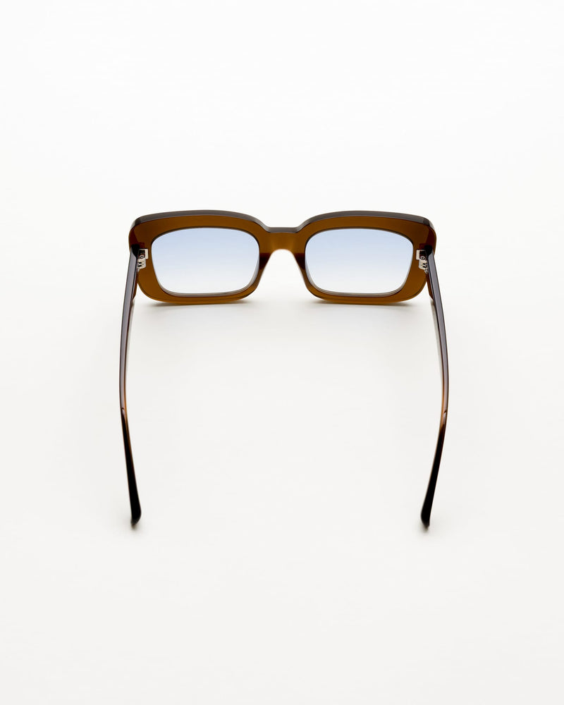 Molly Chocolate - blue gradient lens