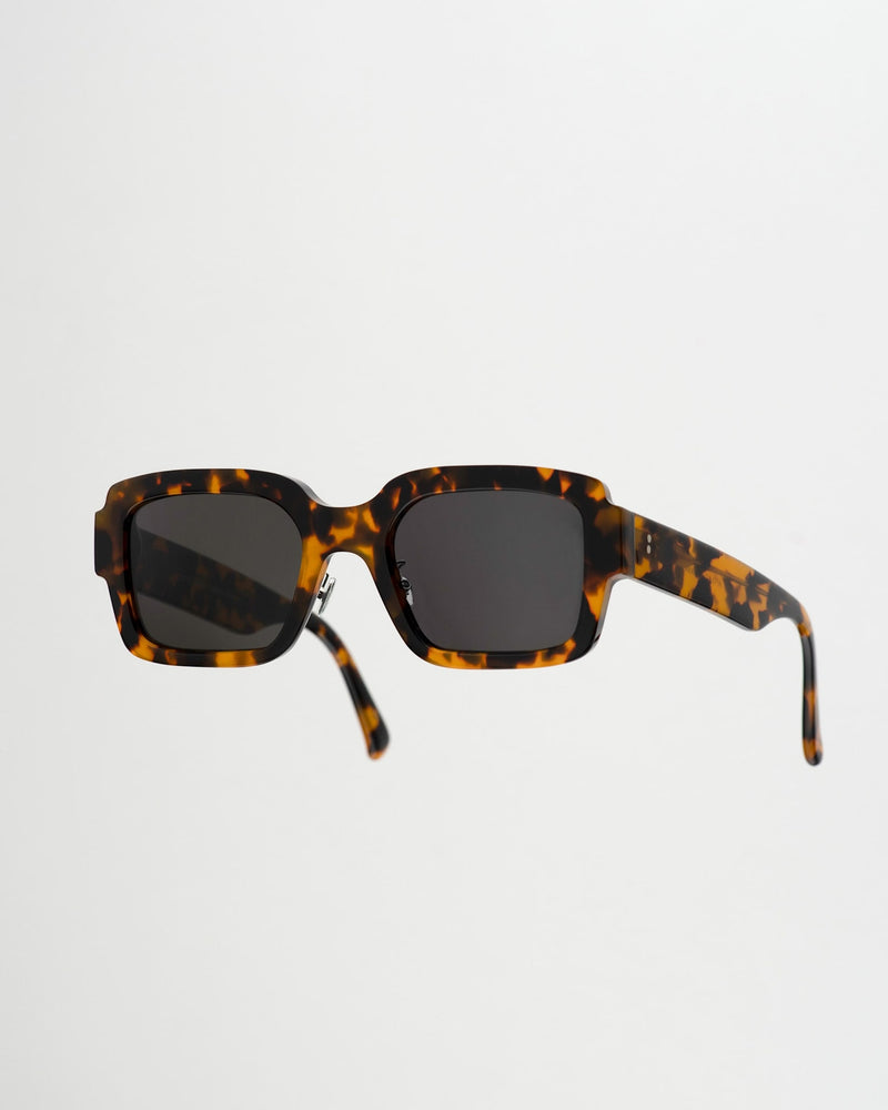 Apollo Havana - grey solid lens