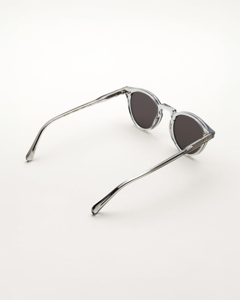 Forest Grey - grey solid lens