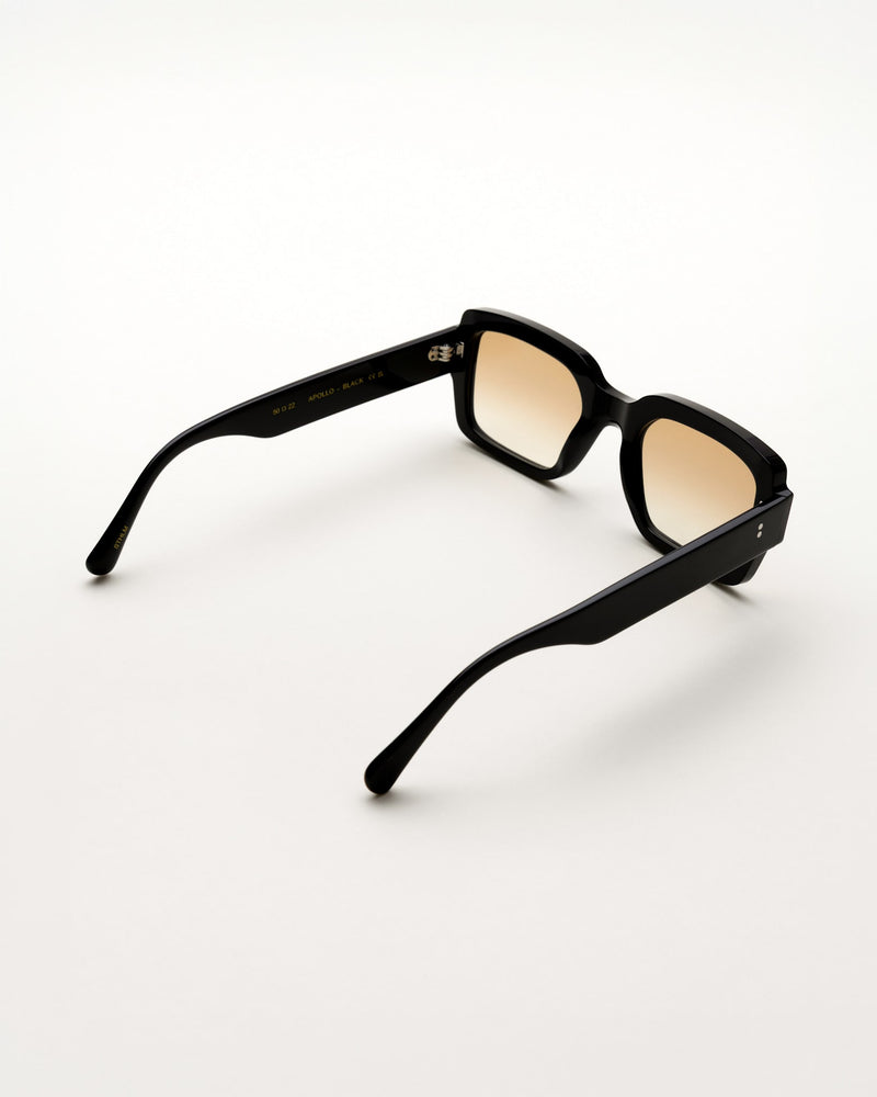 Apollo Black - brown gradient lens