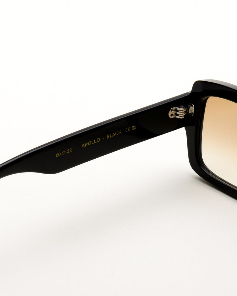 Apollo Black - brown gradient lens