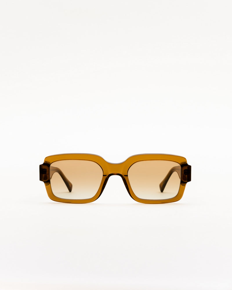 Apollo Cola - brown gradient lens