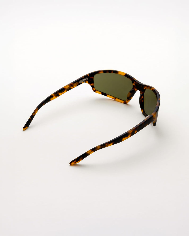 Raven matt Havana - green solid polarized lens