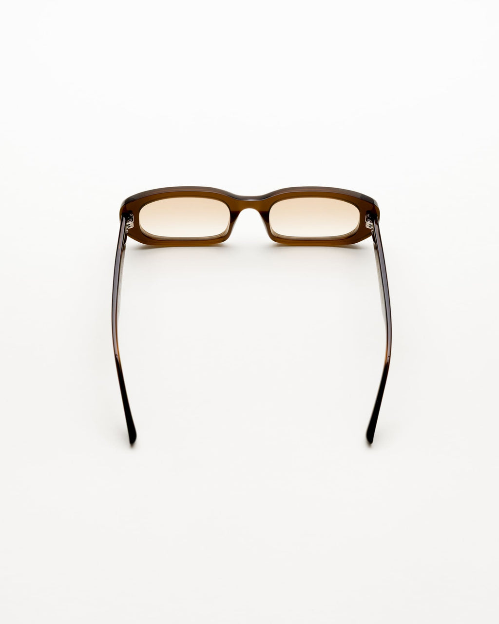 April Chocolate - brown gradient lens