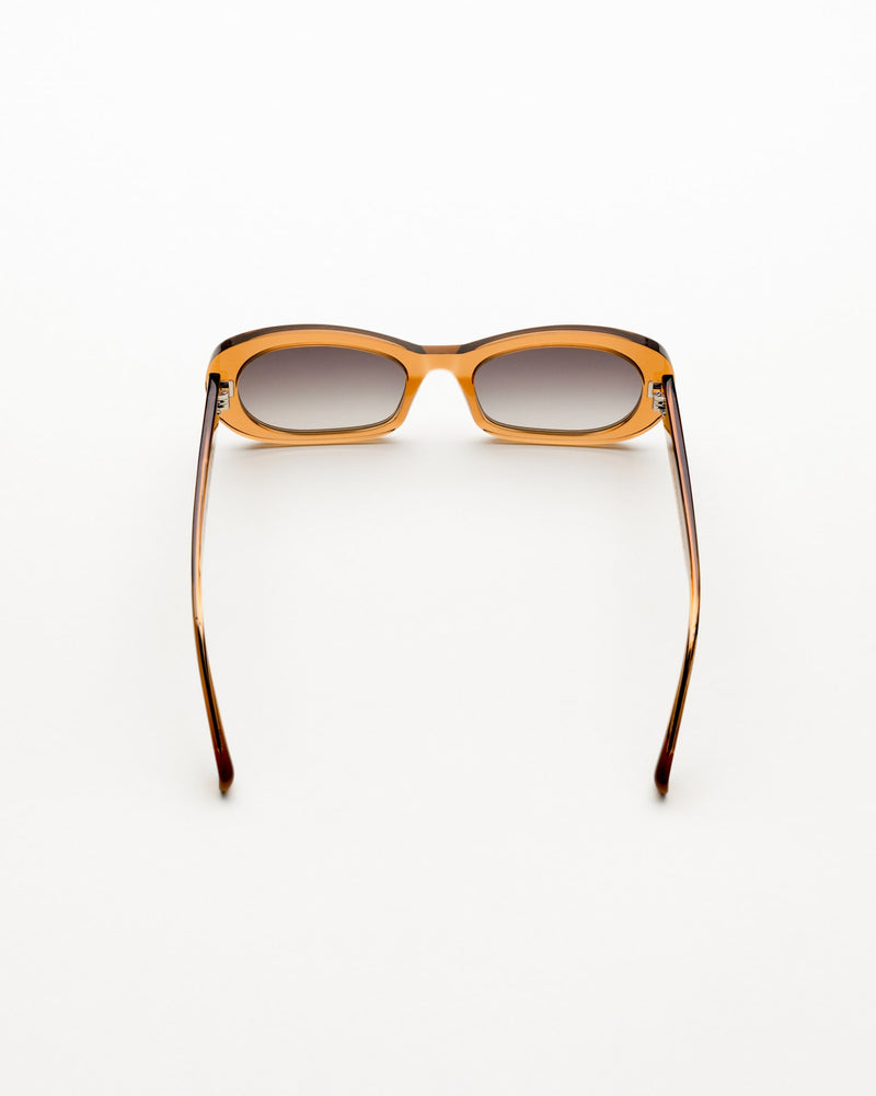 Belle Cola - grey gradient lens