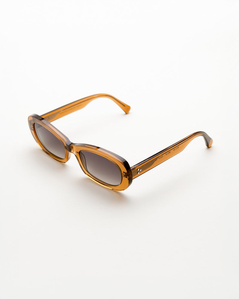 Belle Cola - grey gradient lens