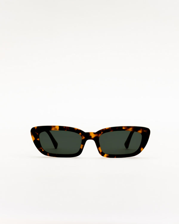 Nova Havana - green solid lens