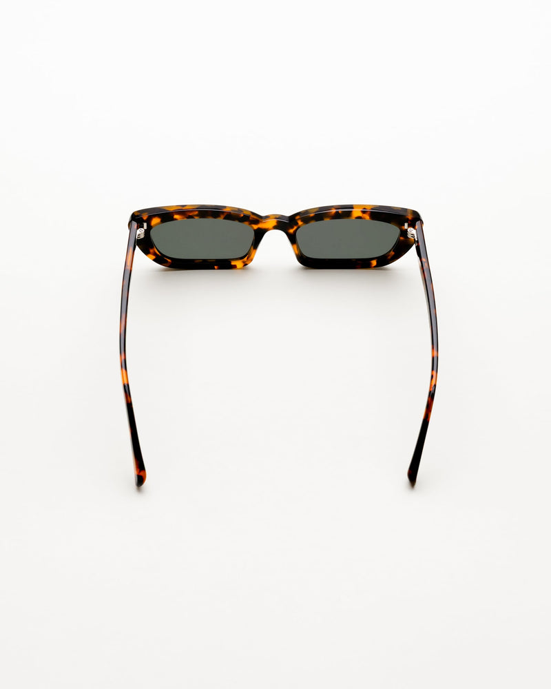 Nova Havana - green solid lens