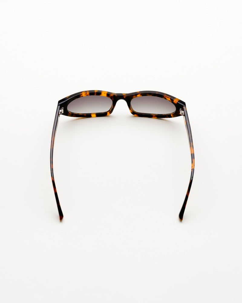 Miles Havana - grey gradient lens