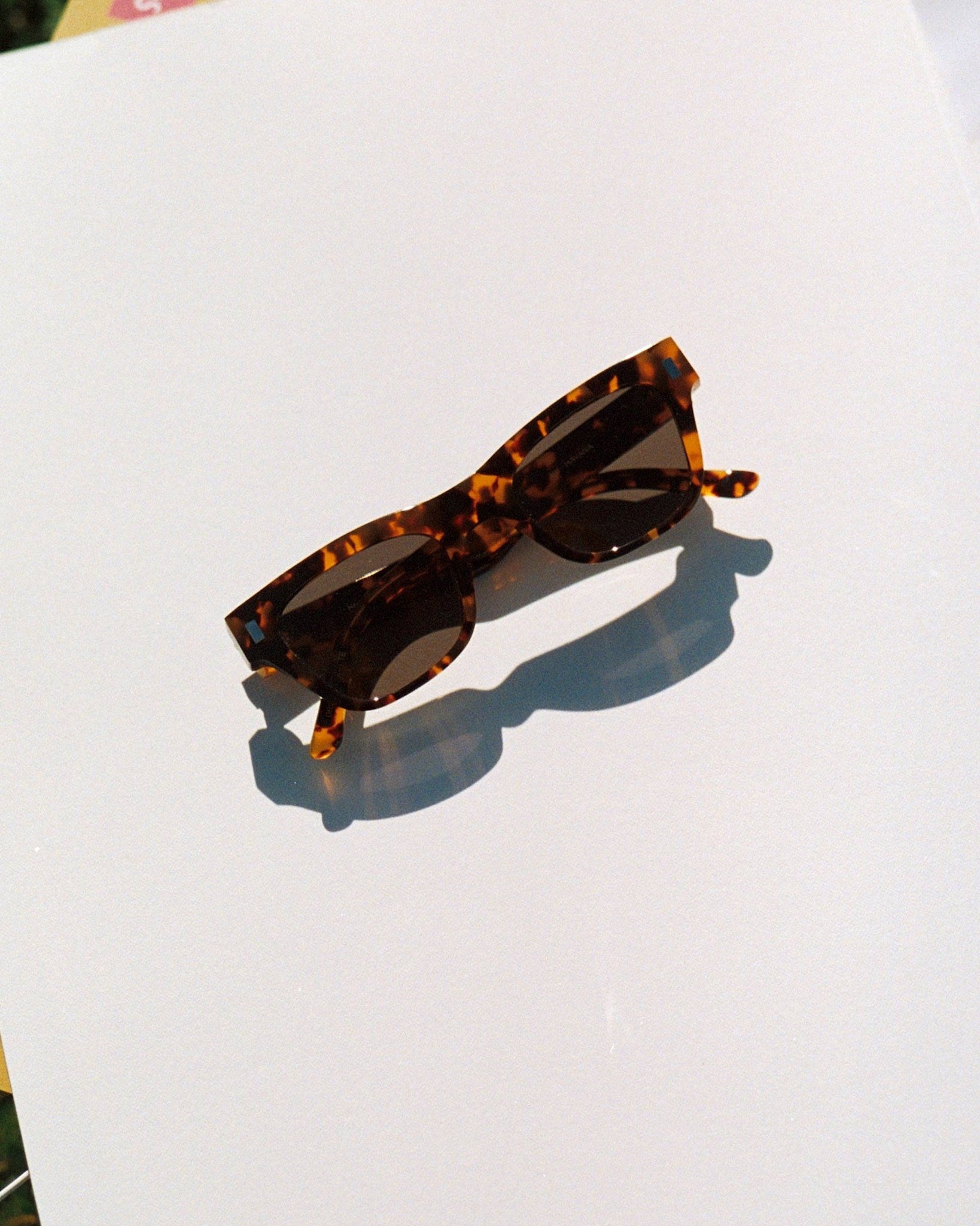 Aki Havana - grey solid lens