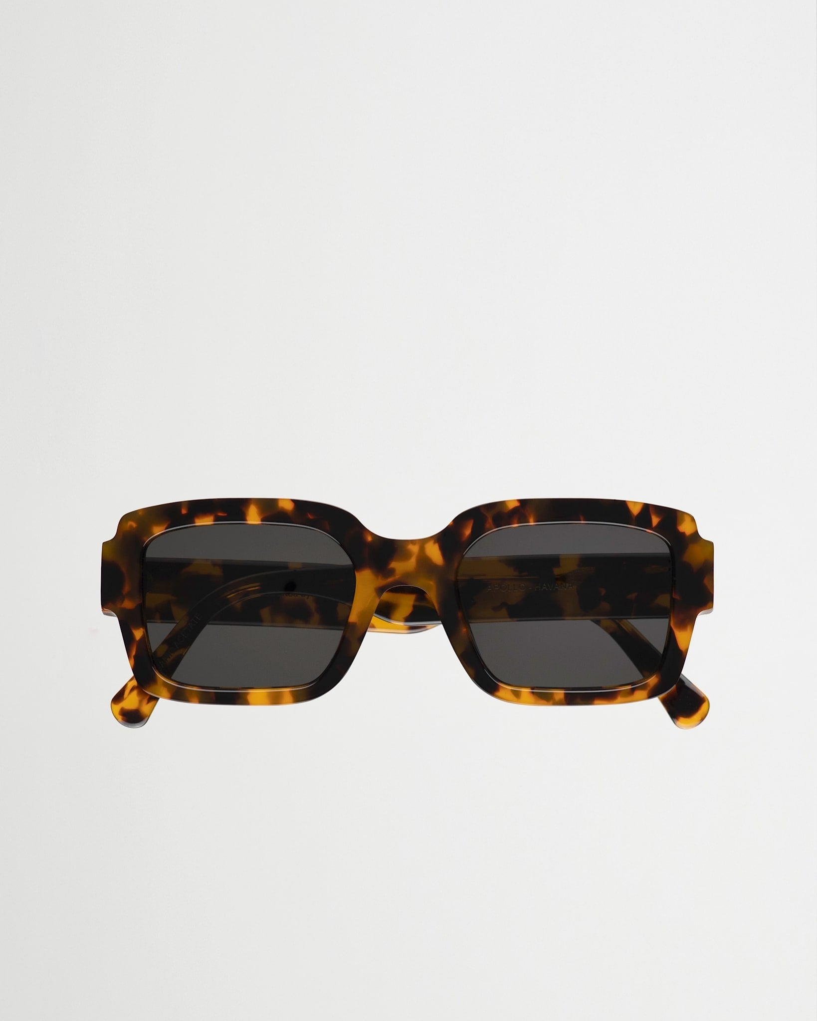 Apollo Havana - grey solid lens
