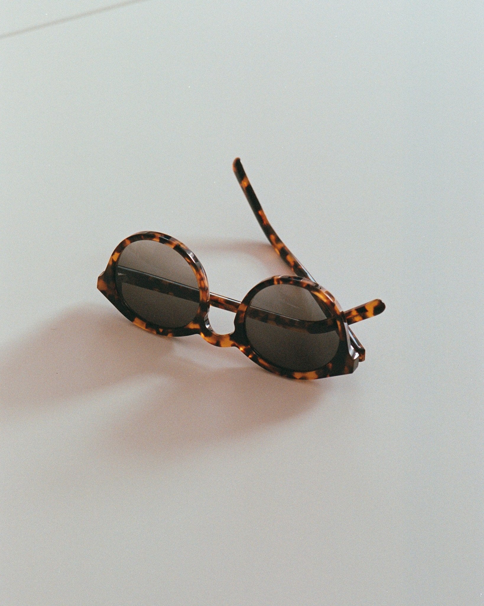 Barstow Havana - grey gradient lens