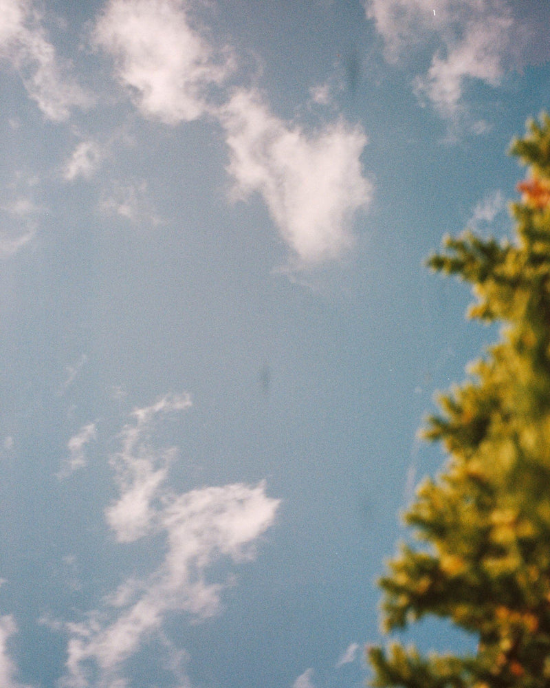 Luna Silver - pink solid lens