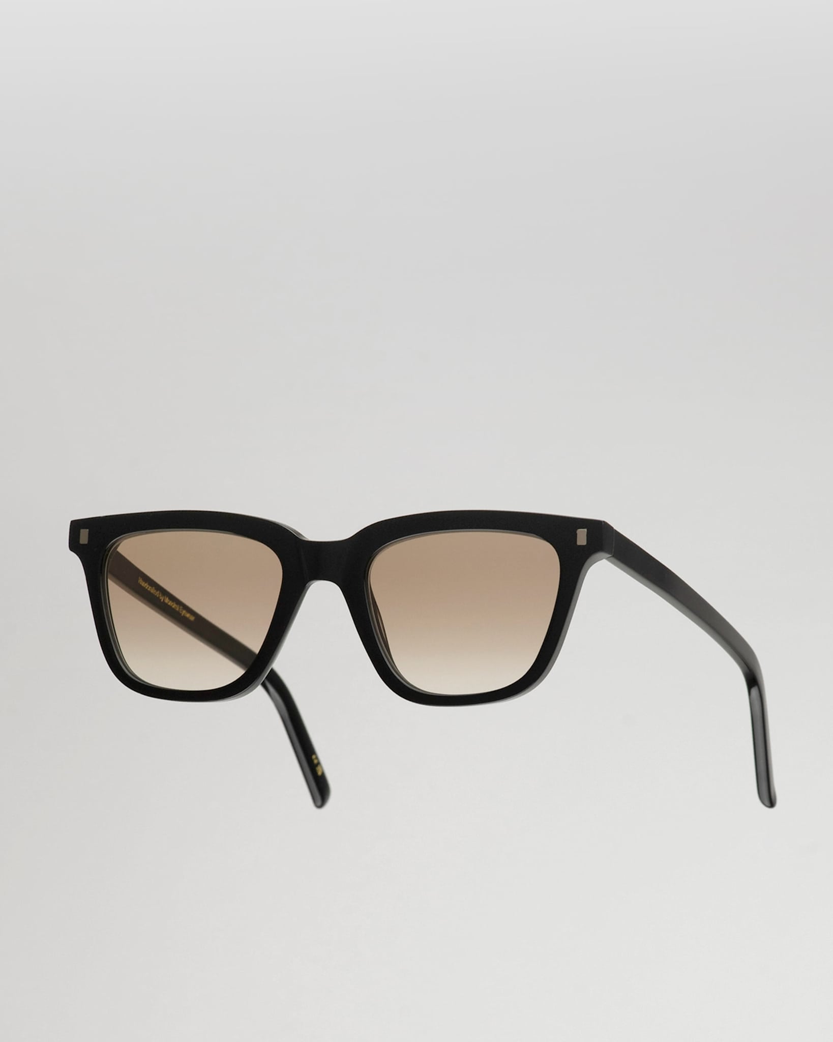 Robotnik Black - brown gradient lens